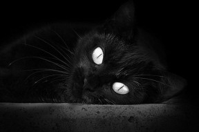 kaiyun开云体育-拜仁替补阵容发挥出色轮换无忧，拜仁队员2020