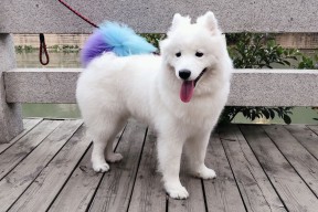 开云体育在线入口-瑞典队未来发展：通过技术创新与全球合作开创新局面，瑞典队近况