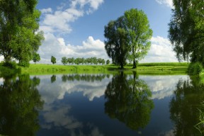 开云体育在线下载-乌拉圭女篮在南美锦标赛中表现出色，迈向更高的国际舞台，乌拉圭美女球迷