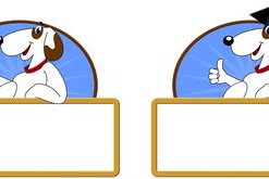 开云体育官网登入-校园体育活动对大学生心理健康的促进作用，体育锻炼对大学生心理健康促进的意义