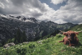 kaiyun网址-北京鸭新赛季目标锁定季后赛深度竞争，北京鸭百度百科
