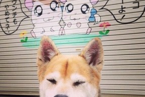 kaiyun网址-仰泳出水角度更有利推进，仰泳的推进力在哪里