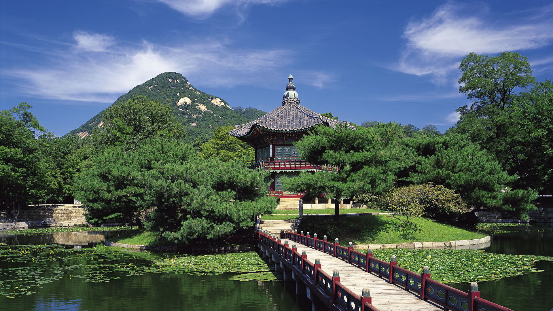 世界围棋赛落子如飞对决引人入胜，世界围棋赛决赛视频