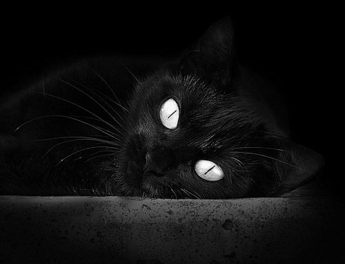 中国三人女篮技术细节提升 明显进步，中国三人女篮技术细节提升 明显进步了吗