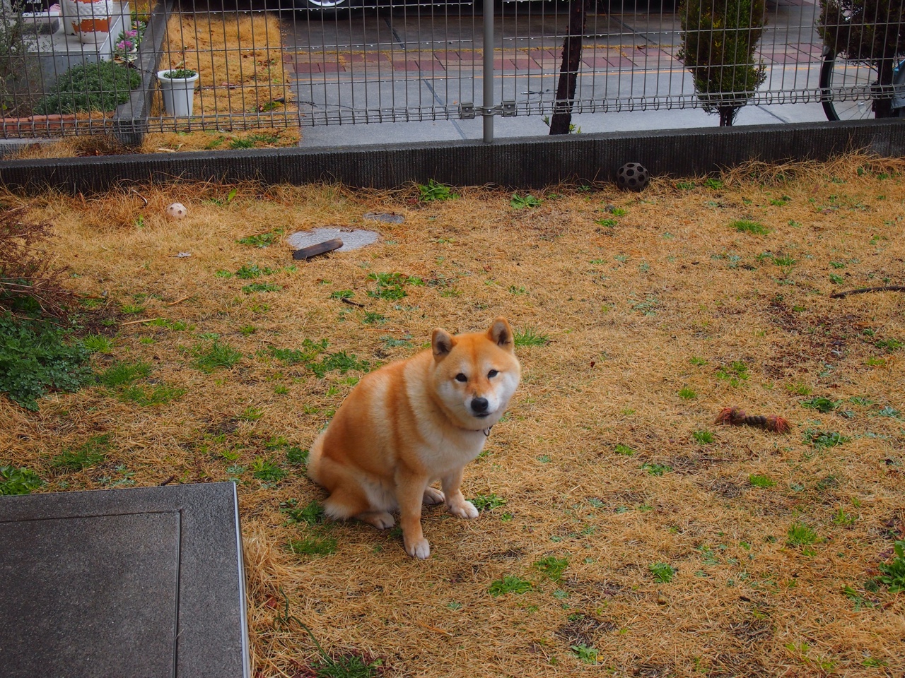 中国三人篮球男队战术变化多样 灵活应对比赛，三人篮球中国男队名单