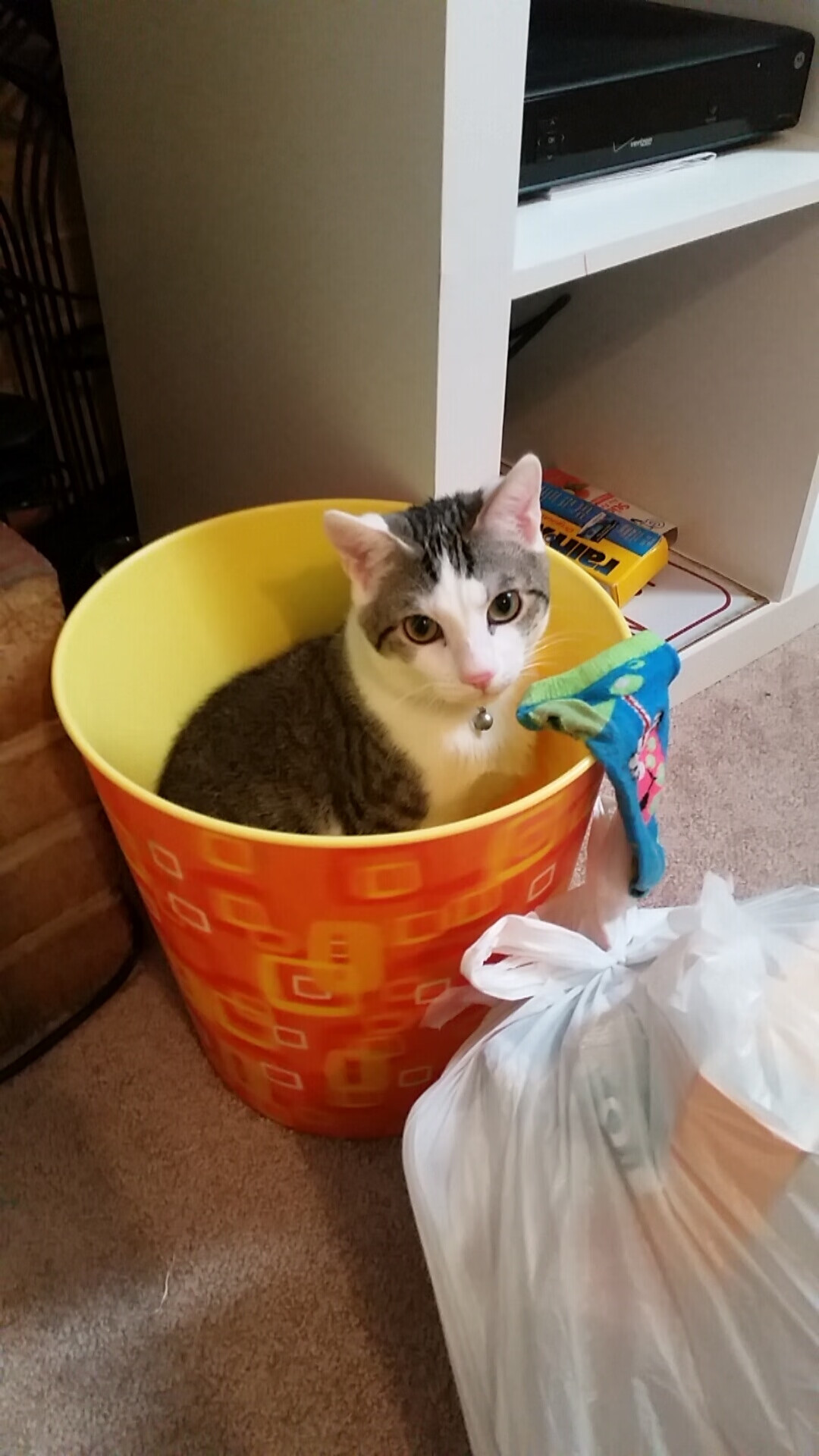 亚冠联赛中国青年队逆袭 球员心理素质备受关注,亚冠 青年队 为什么