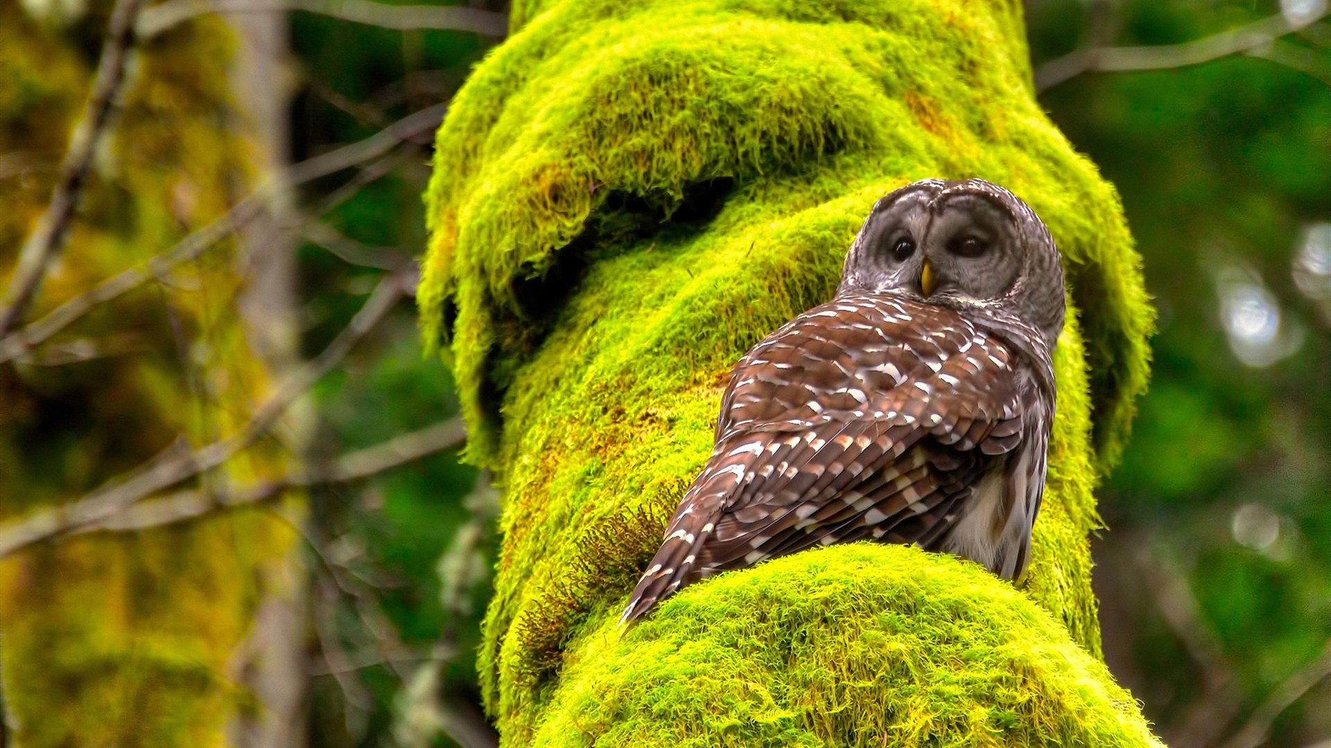 体育新闻中心发布全民健身内容资源库，全民健身体育项目