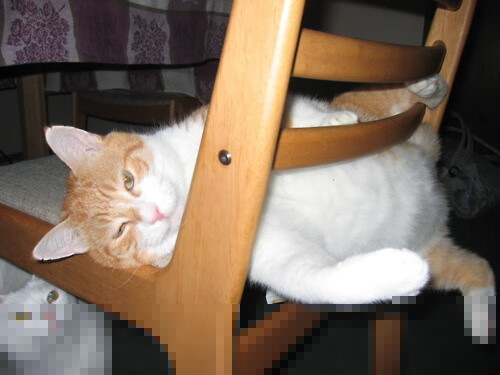 外援政策变动频繁影响俱乐部稳定,球队外援