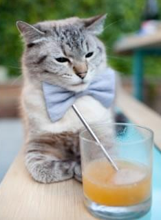 慢节奏阵地推进是否更利于战术精准执行，慢节奏策略手游