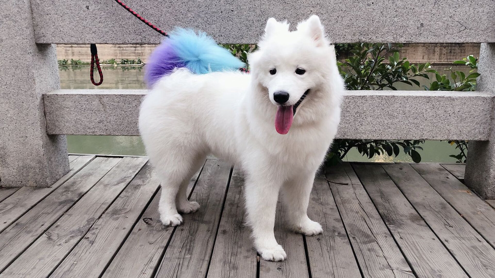 瑞典队未来发展：通过技术创新与全球合作开创新局面，瑞典队近况