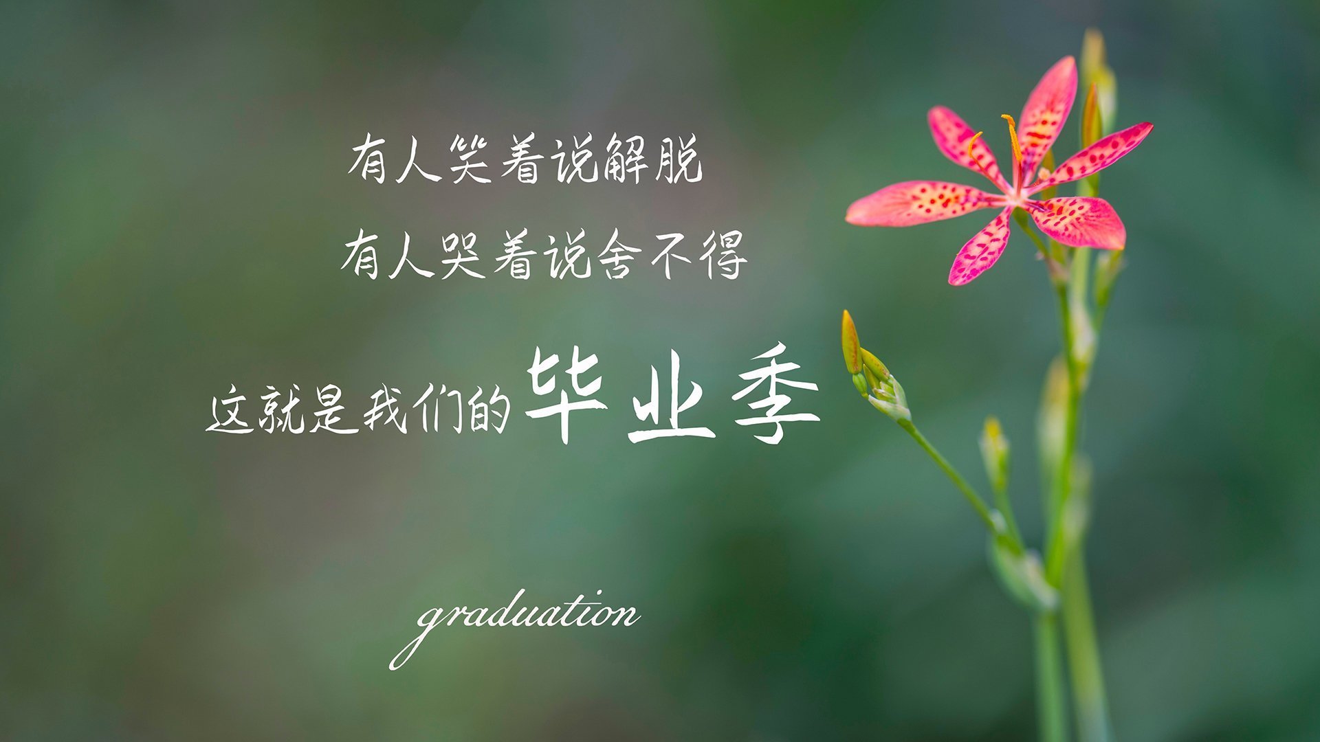 乌干达女篮在非洲锦标赛上奋勇冲击,迈向更高成就,乌干达女联