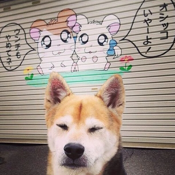 仰泳出水角度更有利推进,仰泳的推进力在哪里